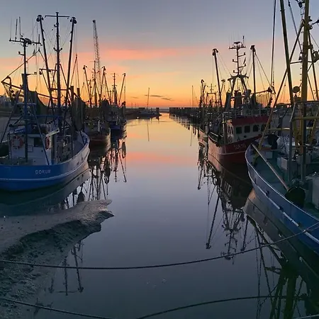 Strandaster