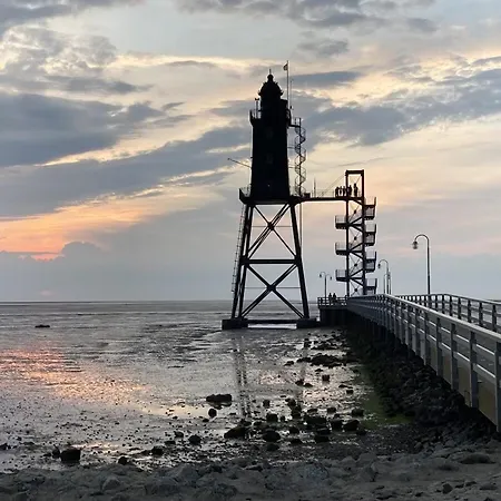 Strandaster